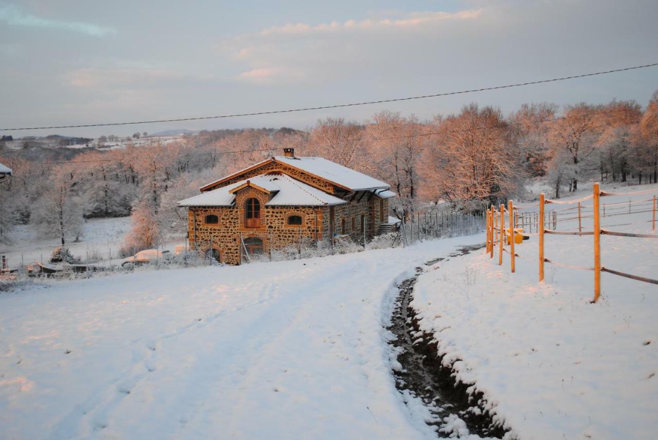 Domaine De La Poyat Bed & Breakfast Légny Екстериор снимка
